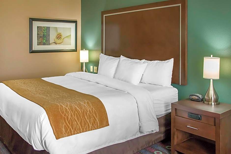 Comfort Inn & Suites San Marcos near Outlet Mall