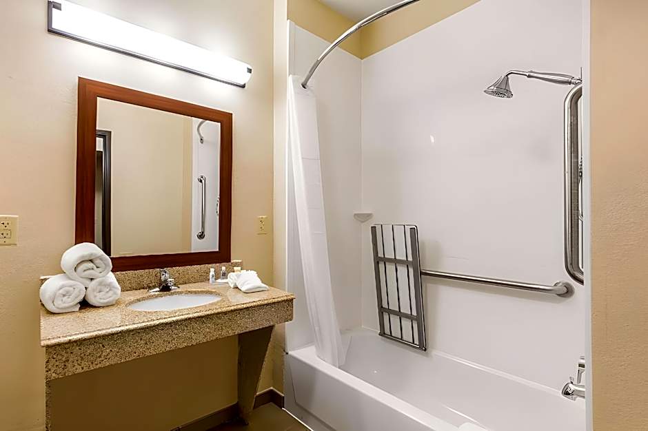 Comfort Inn & Suites IAH Bush Airport - East