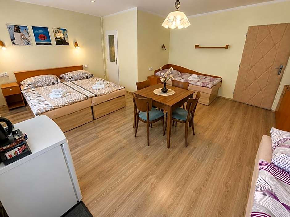 Hotel Alster