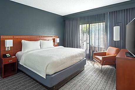 Room, 1 King Bed with Sofa bed (1 King Bed and 1 Double Sofa Bed)