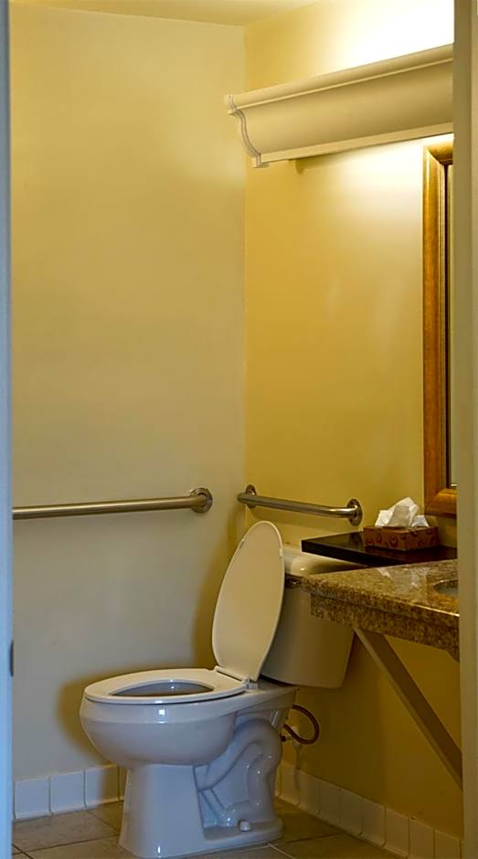 Best Western Point South