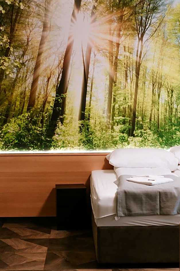 Park Hotel Sóstó