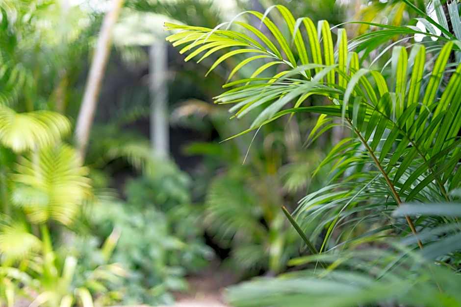 Beachcomber Peregian Beach