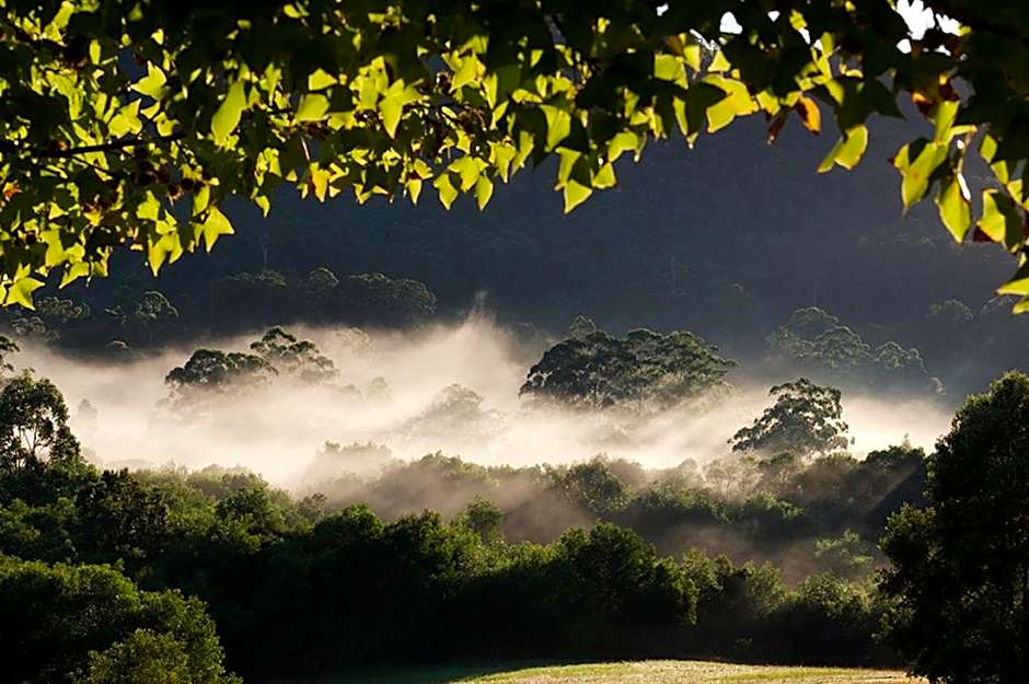Clarendon Forest Retreat