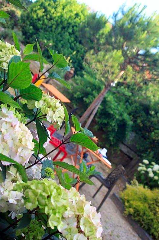 Hôtel L'Hortensia & Appartement & Restaurant