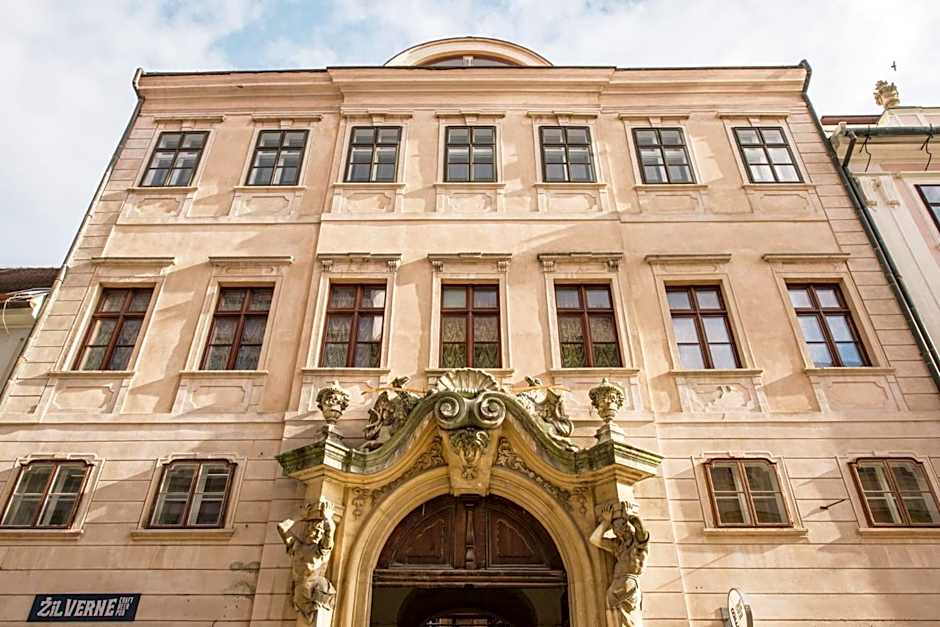 Petra Inn Apartments in historical palace Bratislava