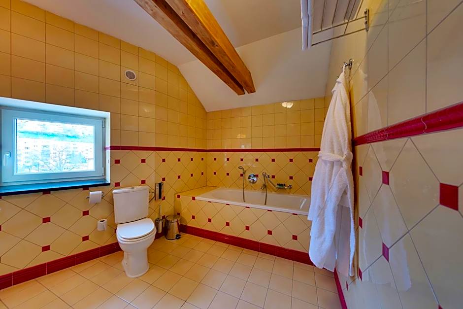 Hotel Torysa