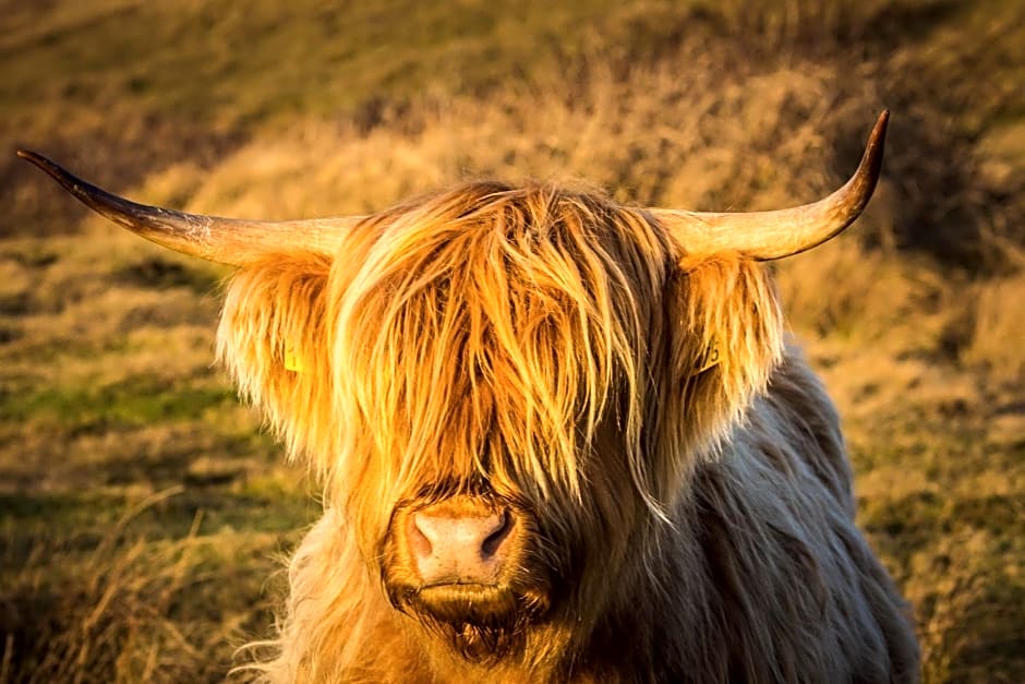 Bed en Bike Strûnen op Texel