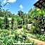 Woodland Gardens Self catering Pet Friendly Lodge