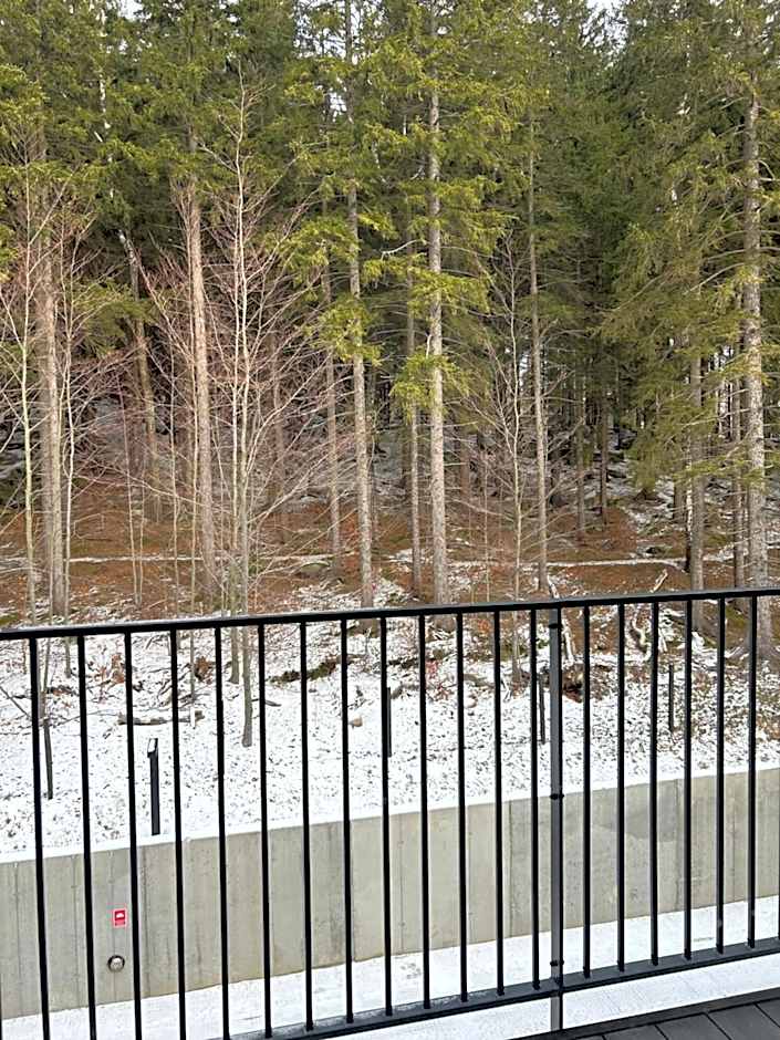 Ostoja_Szklarska_Poręba