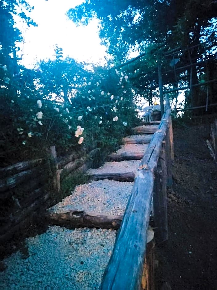 Agriturismo La Cervaiola Piccola dimora di Campagna