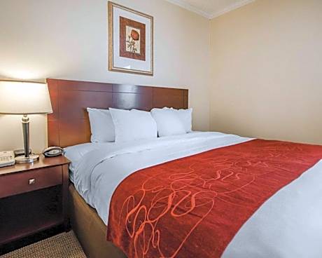 1 King Bed, Suite, Nonsmoking