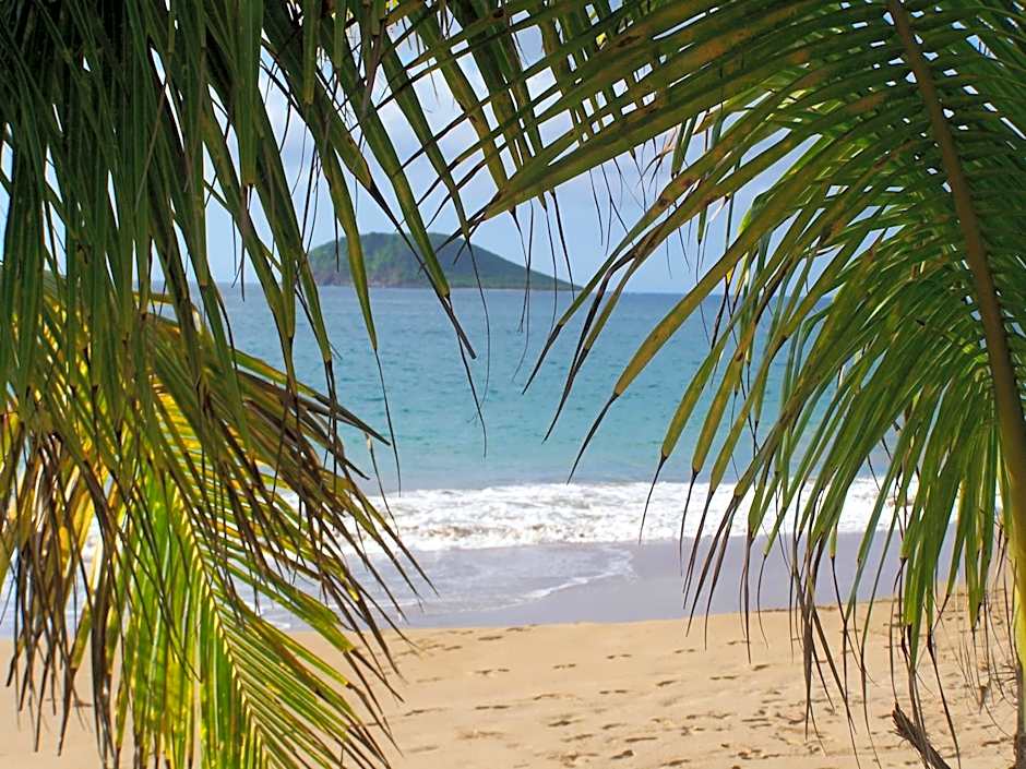 Gite LES CALEBASSIERS