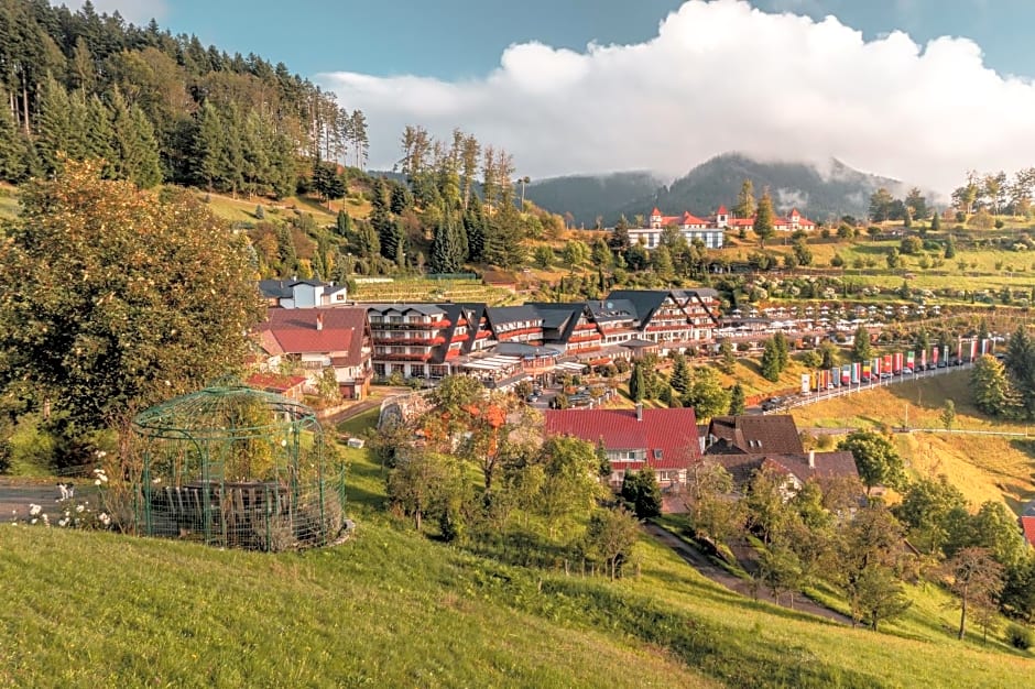 Hotel Dollenberg