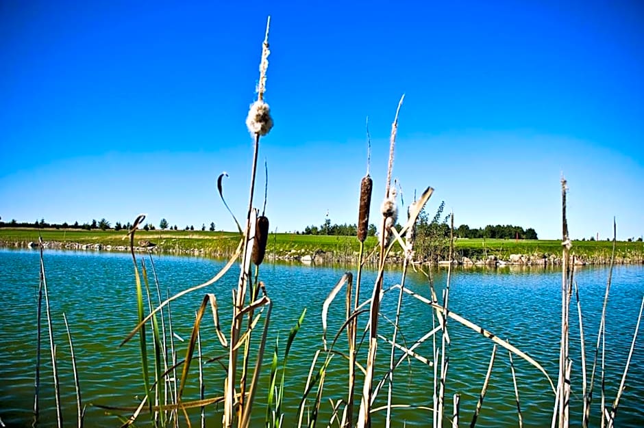 Golf Hotel Lisia Polana