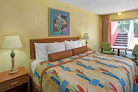 1 King Bed Studio Suite Non-Smoking