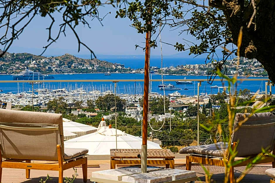 Birdcage 33 Hotel - Adult Only