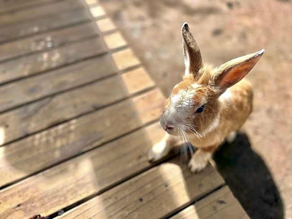 Vista incrível! Chalé com hidromassagem! FU01I