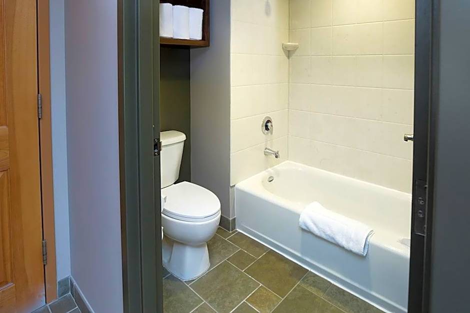 GREAT WOLF LODGE - BLOOMINGTON