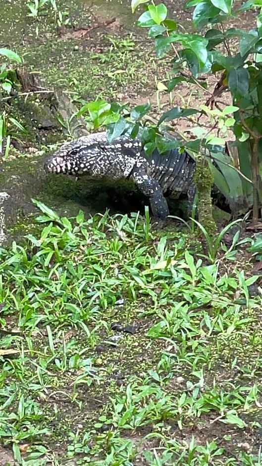 Aconchego na Serrinha