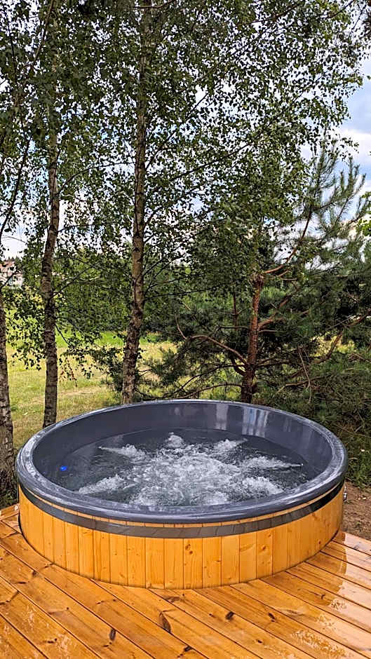 Vila Vynuogyne