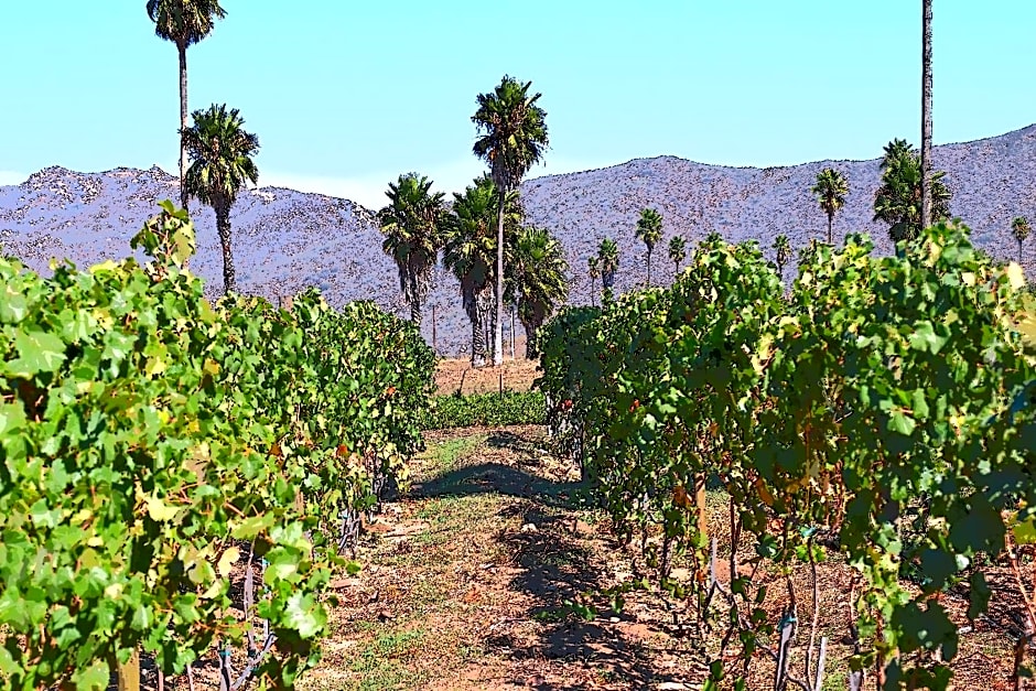 Hotel Boutique Rancho Tecate