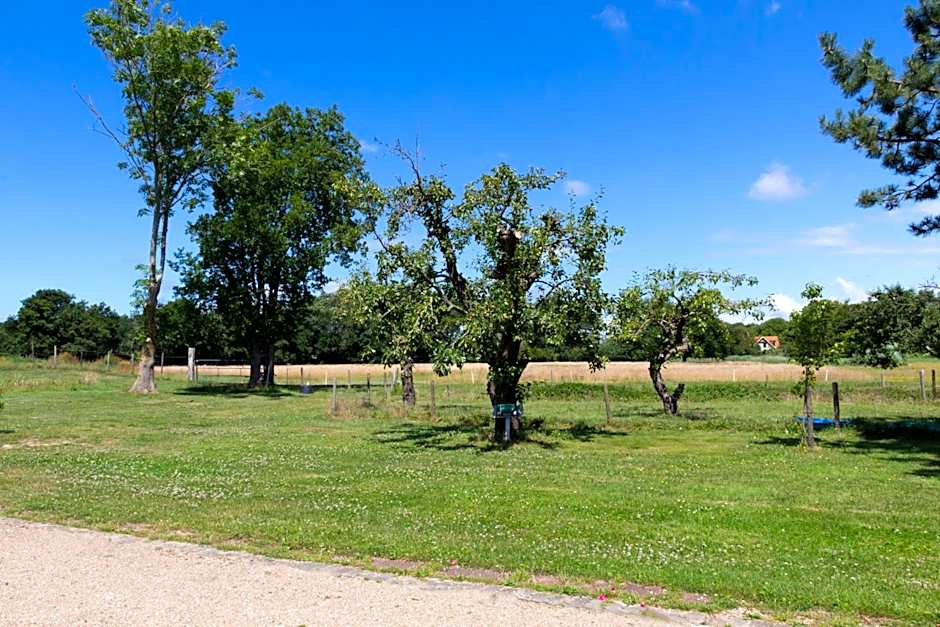 Little Creek - Lodges in het natuurgebied
