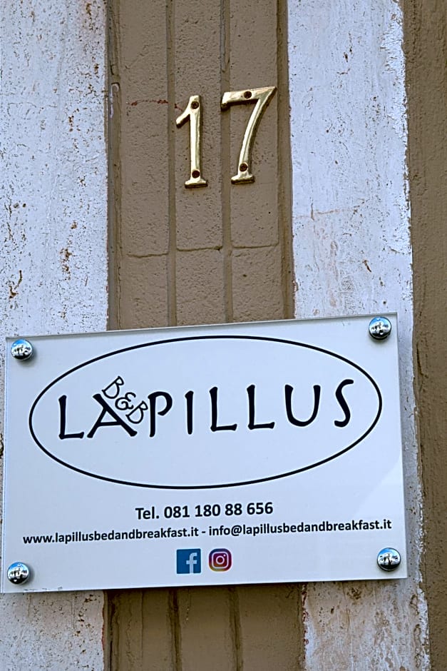 B&B Lapillus