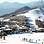 Diamond Shiga