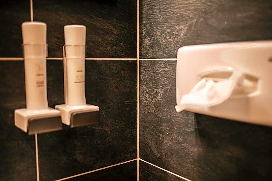 Alpenhotel & Aparthotel Lanz