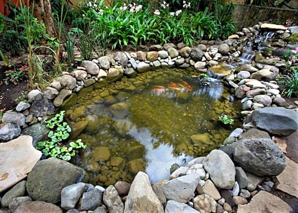 Guayaba Inn Boutique Hotel
