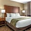 Comfort Inn Okemos