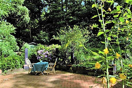 Apartment with Terrace