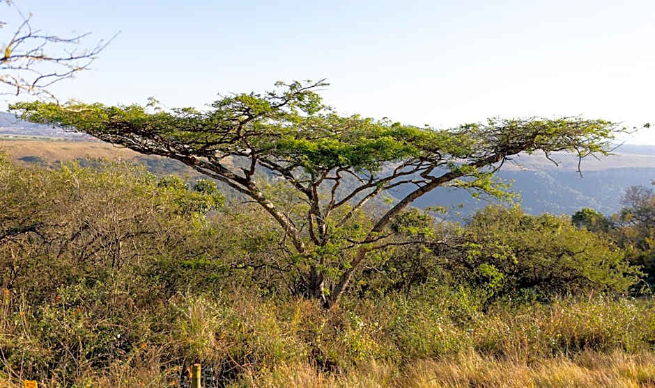 Hilton Bush Lodge & Function Venue