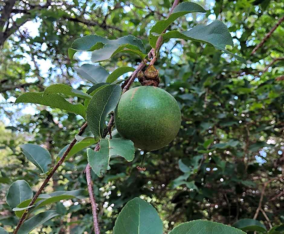 Kruger Private Lodge
