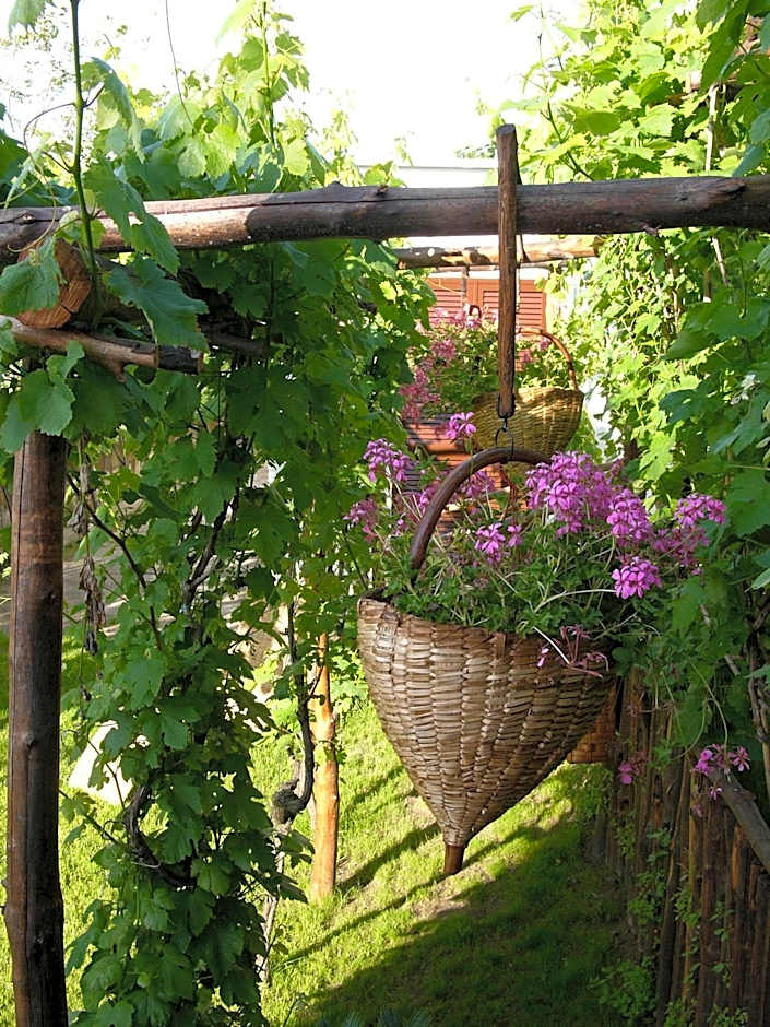 Albergo 'La Vigna'