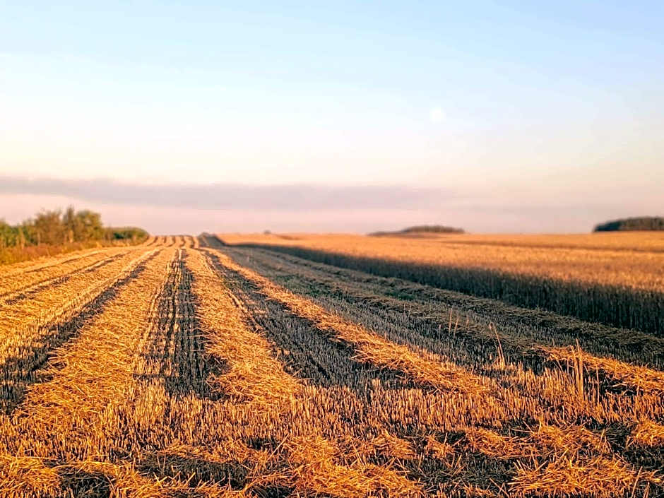 Noclegi nad Biebrzą Stara Szkoła