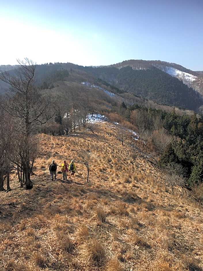 リラシャンティRelashanti