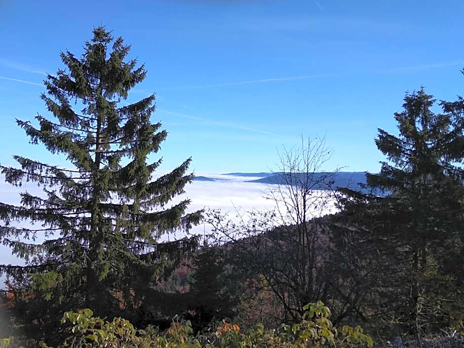 Wohnungen- Christopherhof MJ,Grafenwiesen
