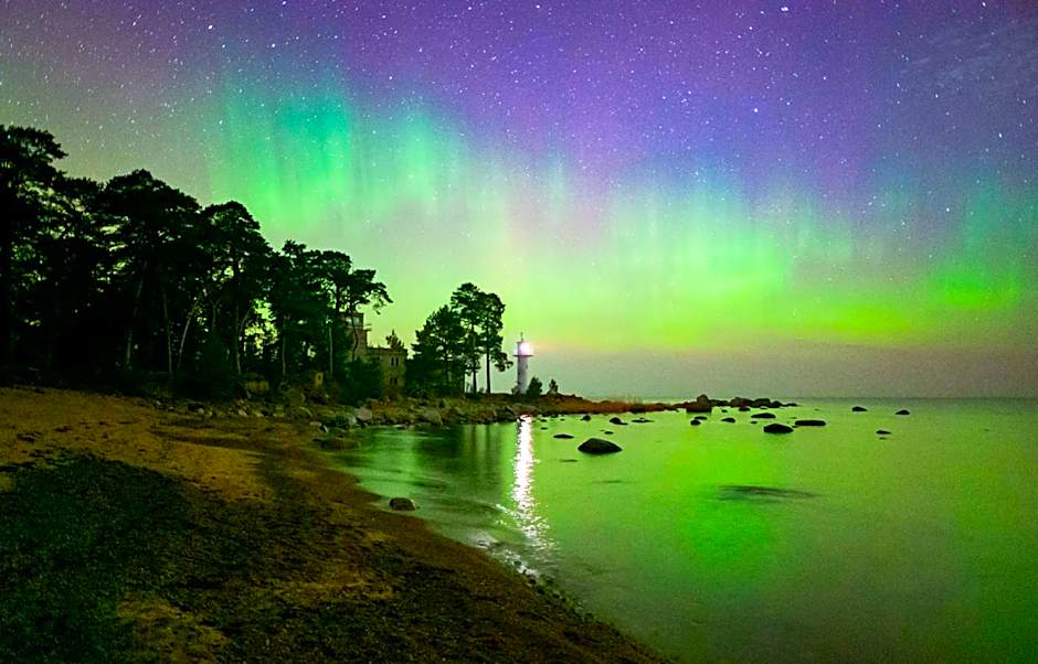 Vergi Sadam & Restoran Wirkes'