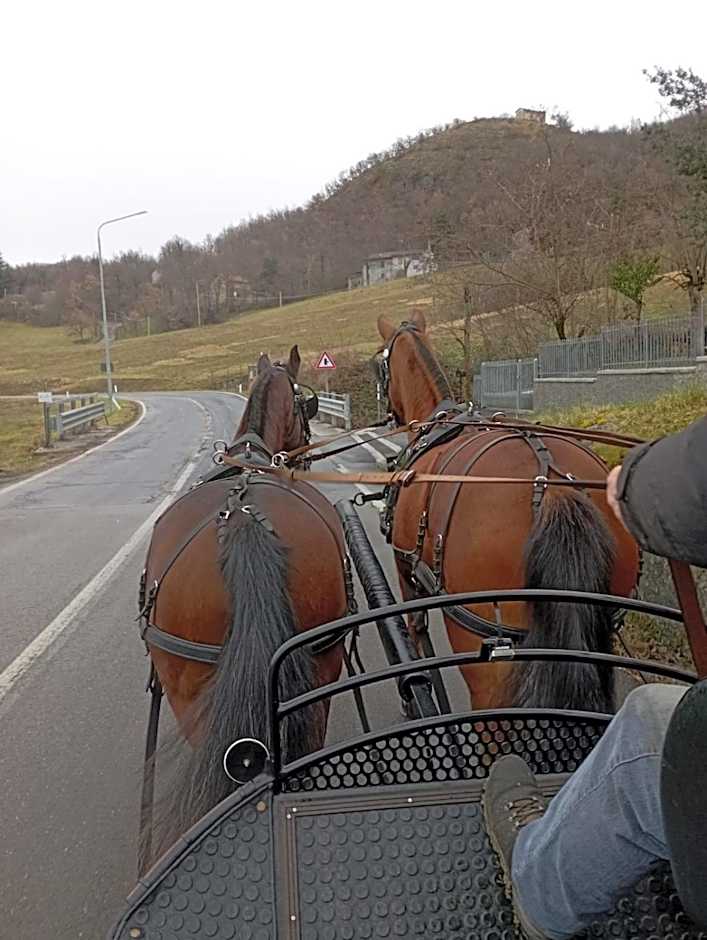 Fattoria Ca' di Fatino