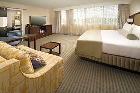 Larger King Room with Sofa Bed