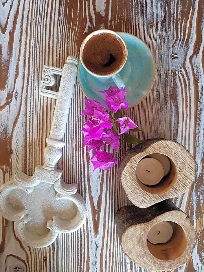 Vinifera Ephesus Hotel