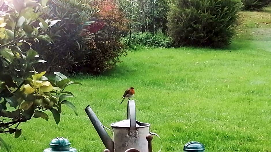 MAISON MAUPAS Chambre Rouge