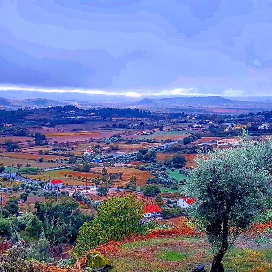 Branca Gonçalves Belmonte