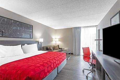 King Room with Roll-In Shower - Mobility Access/Non-Smoking