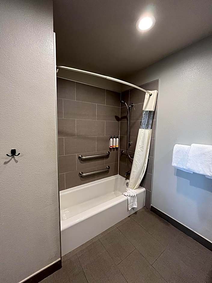 Alamo Inn and Suites - Convention Center