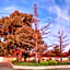 Hamilton Hume Motor Inn