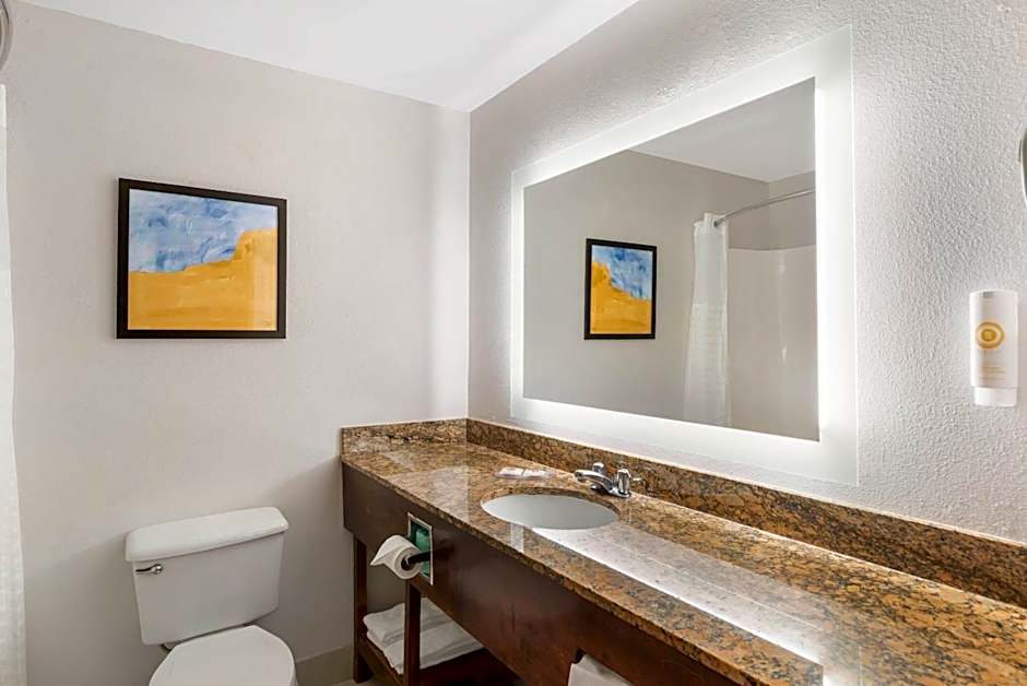Comfort Inn & Suites Suwanee - Sugarloaf