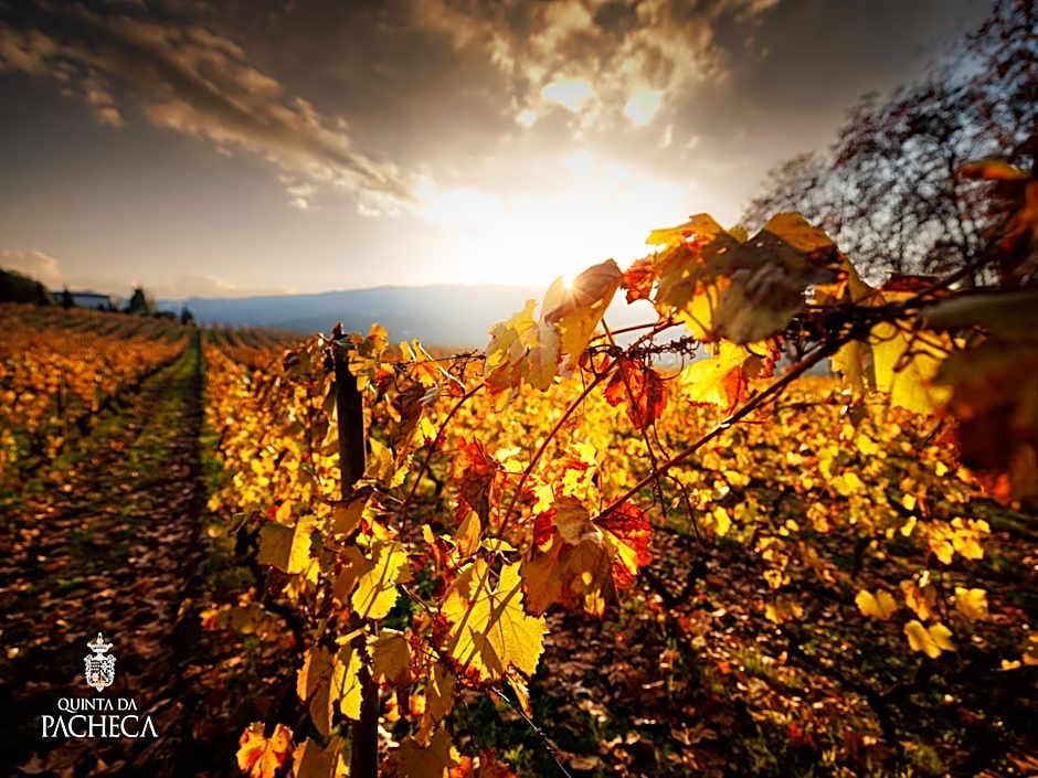 The Wine House Hotel - Quinta da Pacheca